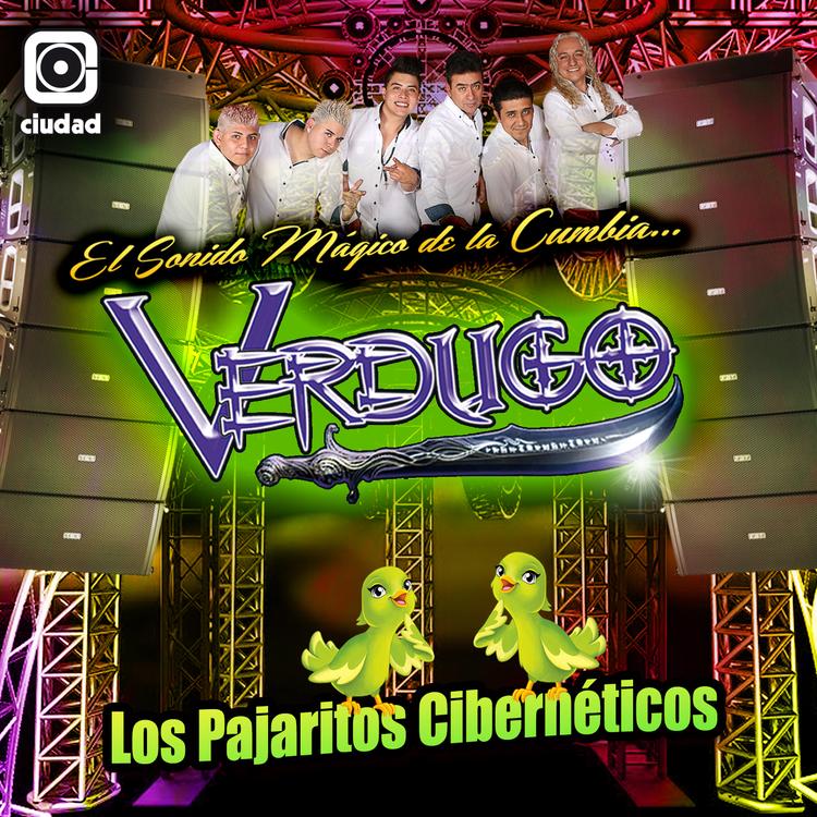 Verdugo Sonido Mágico de la Cumbia's avatar image