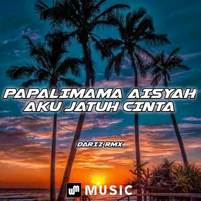 Papalimama Aisyah Aku Jatuh Cinta's cover