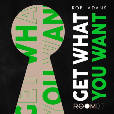 Get What You Want (Radio) By Rob Adans's cover