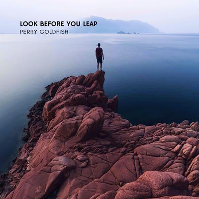 Look Before You Leap By Perry Goldfish's cover