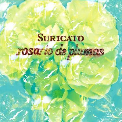 Rosario de Plumas's cover