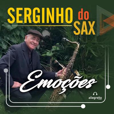 Vide Vida Marvada By Serginho do Sax's cover