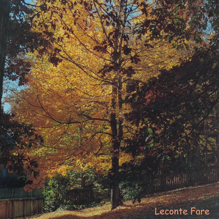 LeConte Fare's avatar image