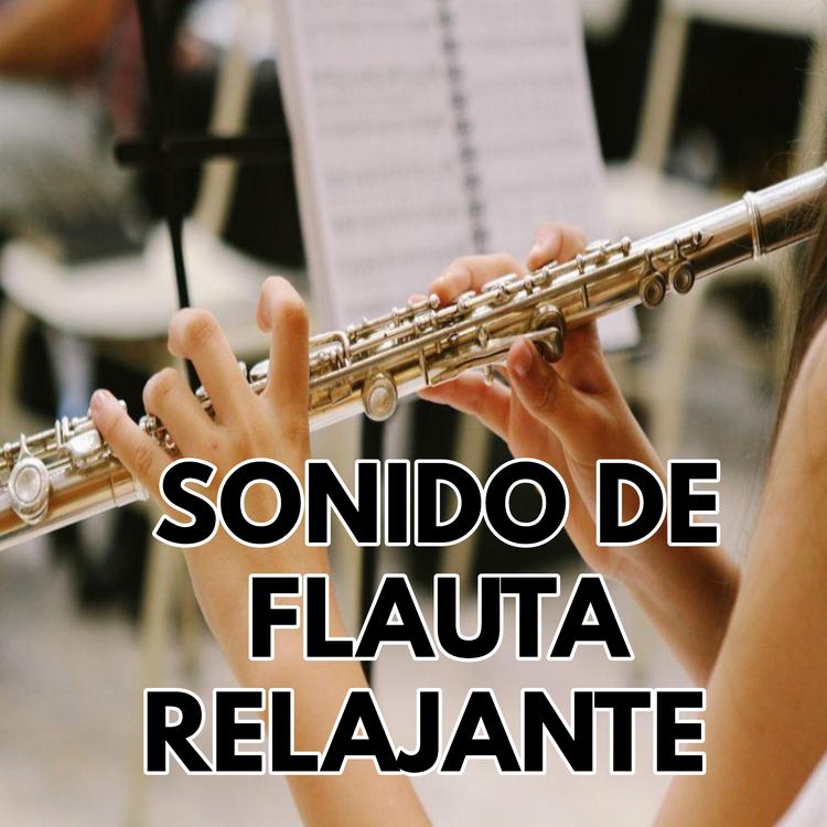 Sonido de flauta's avatar image