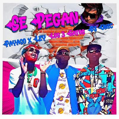 Se Pegan By Payaso x Ley, DJ Unic, Los 3 Gatos's cover