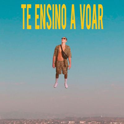 Te Ensino a Voar By Mateca's cover