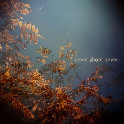 What Is Love? By Never Shout Never's cover