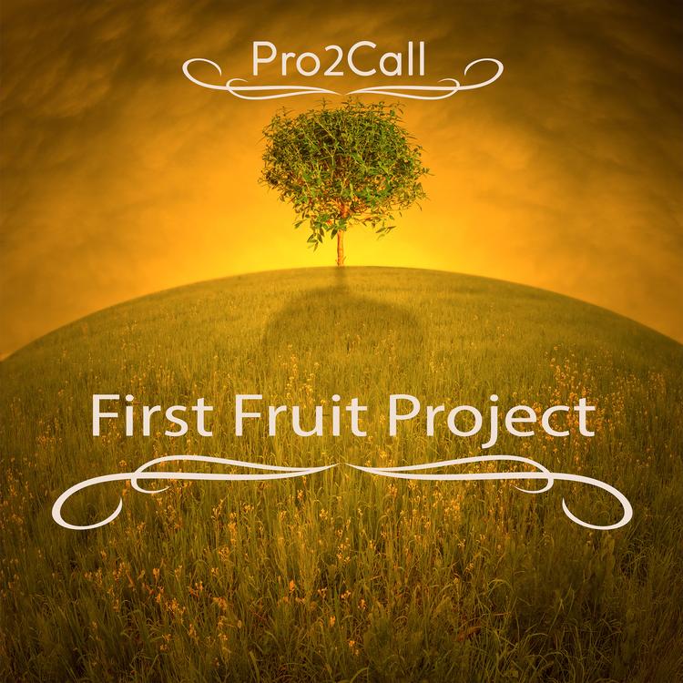 Pro2call's avatar image