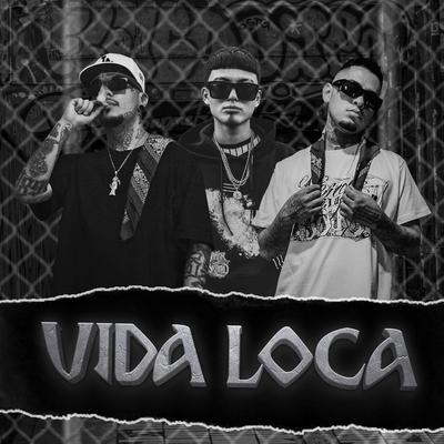 Vida Loca By Deivy Js, Vandalic, Dank Sa, Jauría Santa's cover