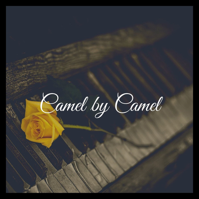 Camel by Camel (Zone Ankha) (Extended Instrumental Version) By Piano Vampire's cover