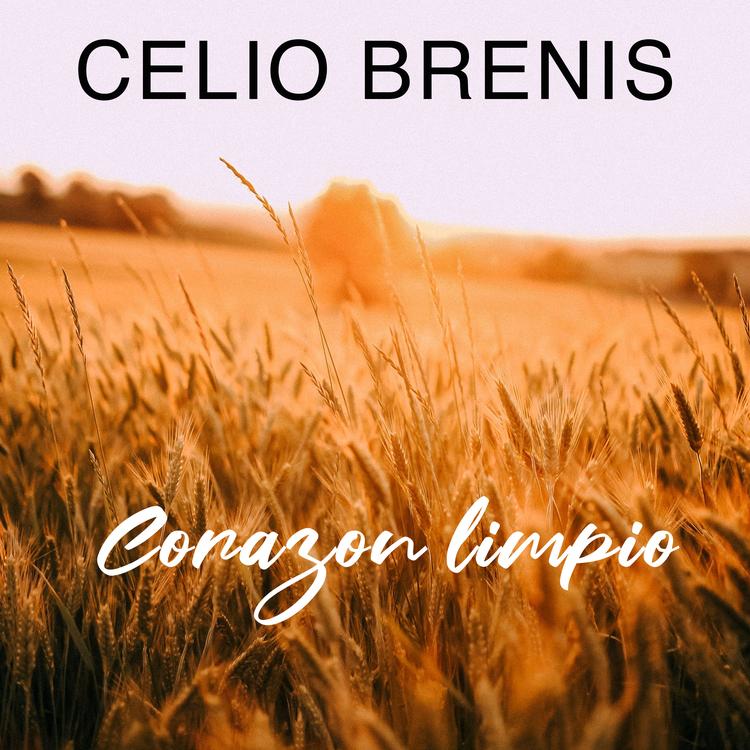 Celio Brenis's avatar image