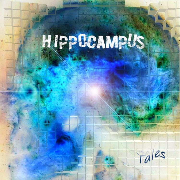 Hippocampus's avatar image