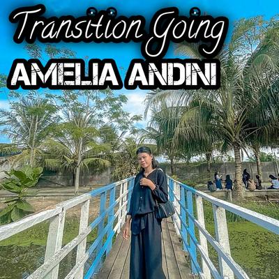 Amelia Andini's cover