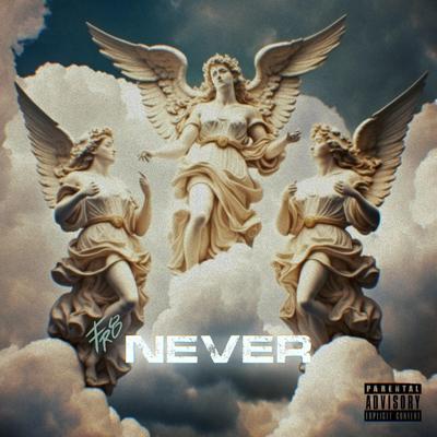 Never's cover