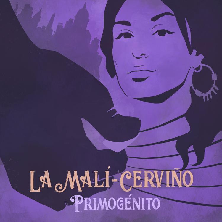 La Malí - Cerviño's avatar image