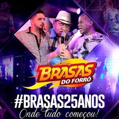 Tão Pedindo Um Vaneirão (feat. Gaúcho da Fronteira) (feat. Gaúcho da Fronteira) (Ao Vivo) By Brasas Do Forró, Gaúcho da Fronteira's cover