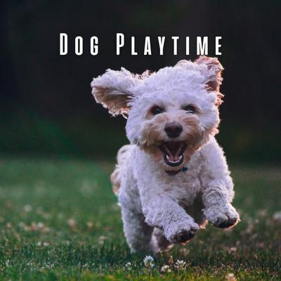 Dog Playtime: Happy Lofi Harmonies for Joyful Paws's cover