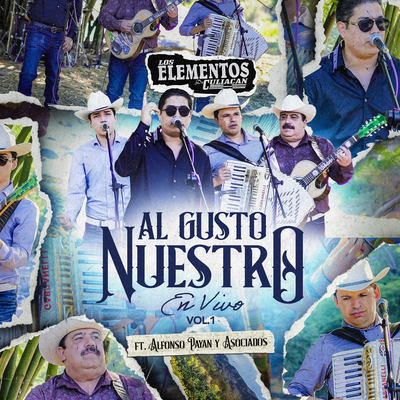 Luis Pulido (En Vivo)'s cover