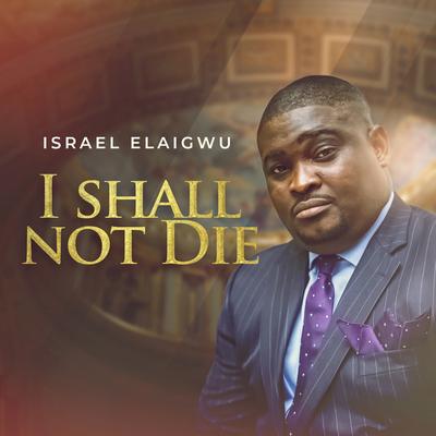 Israel Elaigwu's cover