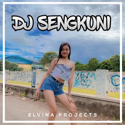 Elvina Projects's cover