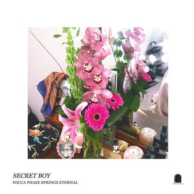 Secret Boy's cover