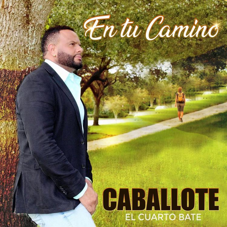 Caballote el Cuarto Bate's avatar image