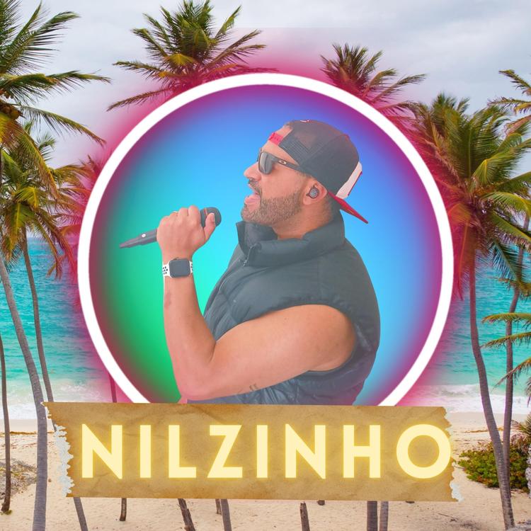 Nilzinho's avatar image
