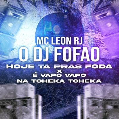 O DJ FOFAO HOJE TA PRAS FODA X É VAPO VAPO's cover