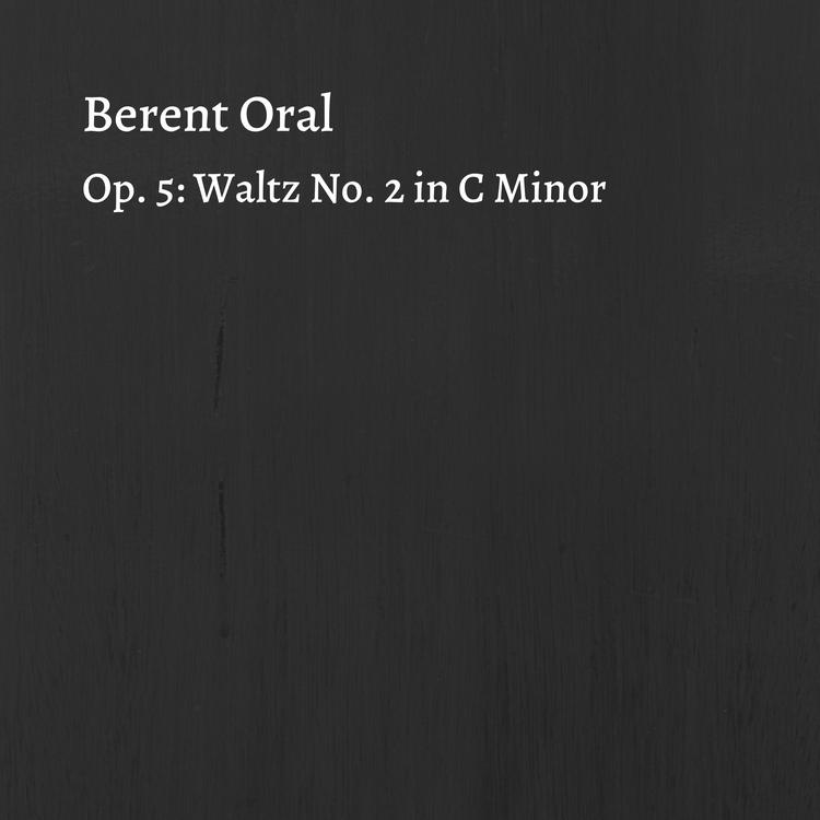 Berent Oral's avatar image