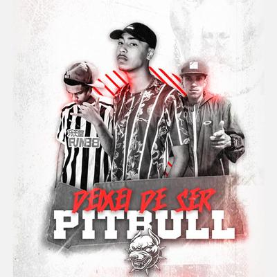 Deixei de Ser Pitbull By MC NT, DJ THUAR, DJ Yuri's cover