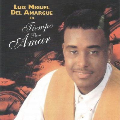 Tiempo para Amar's cover