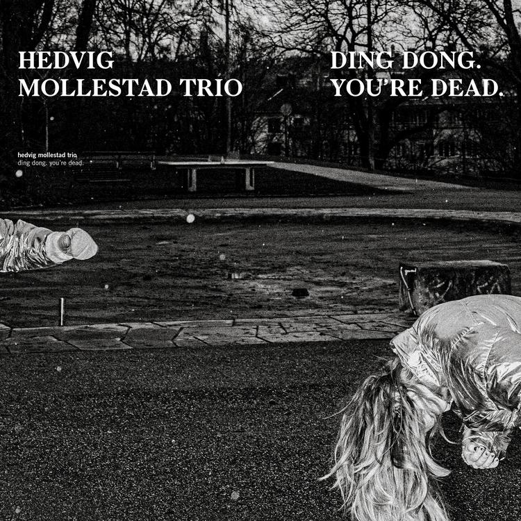 Hedvig Mollestad Trio's avatar image