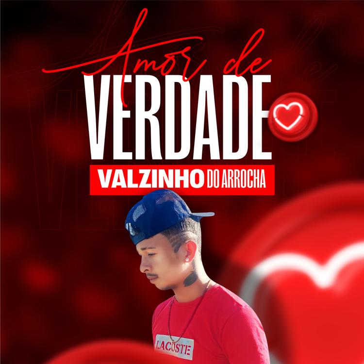 Valzinho do Arrocha's avatar image