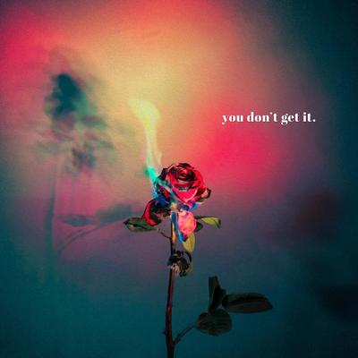 You Don't Get It By Louis on Tour's cover