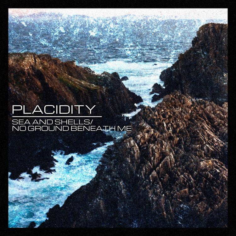 Placidity's avatar image