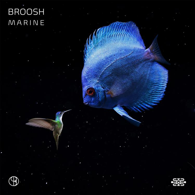 Broosh's avatar image
