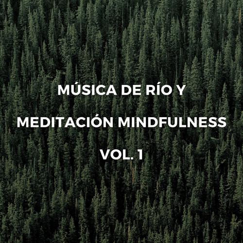 Musica Relajante Y Reflexion Relajante Official TikTok Music  album by  Musica Para Meditar - Listening To All 10 Musics On TikTok Music