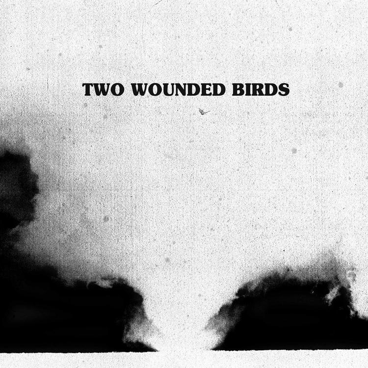 Two Wounded Birds's avatar image