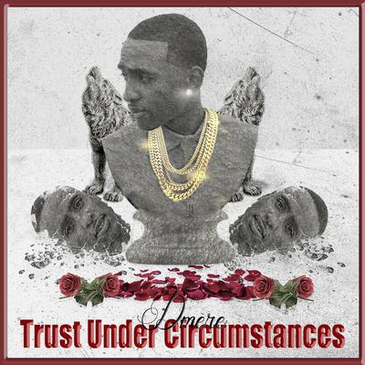 Trust Under Circumstances's cover