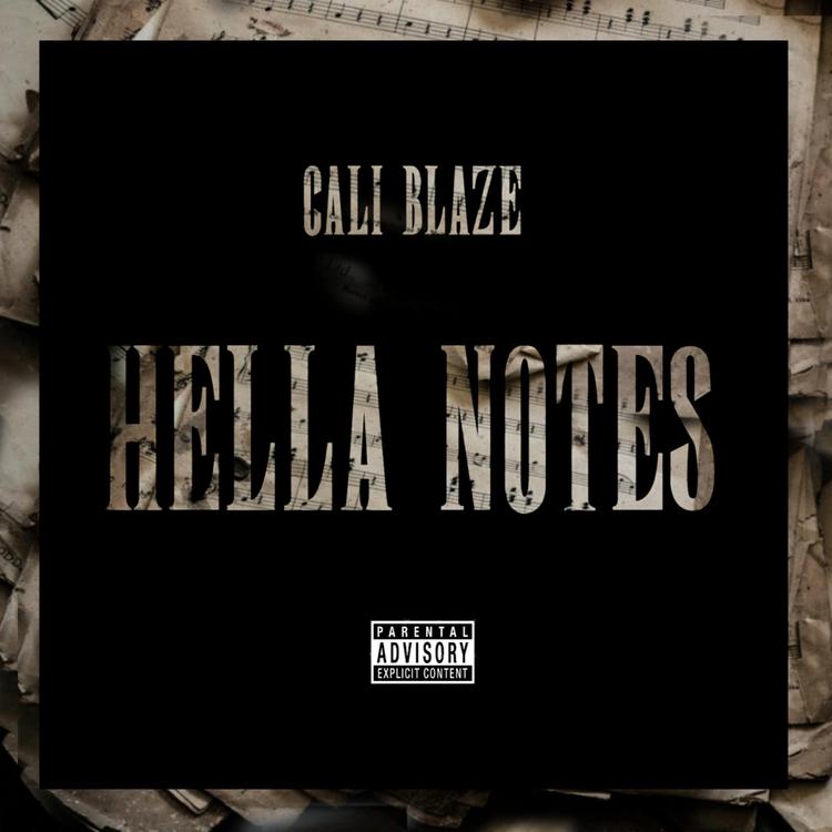 Cali Blaze's avatar image