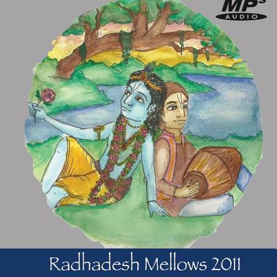 Radha Gopinath's Kirtaniyas's cover