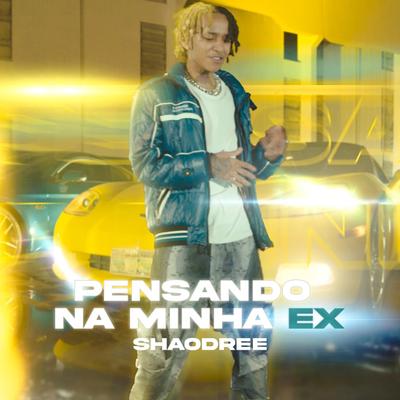 Pensando Na Minha Ex By Shaodree's cover