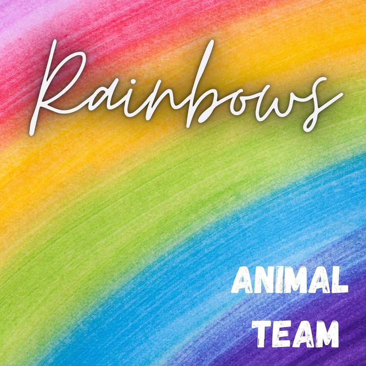 Animal Team's avatar image