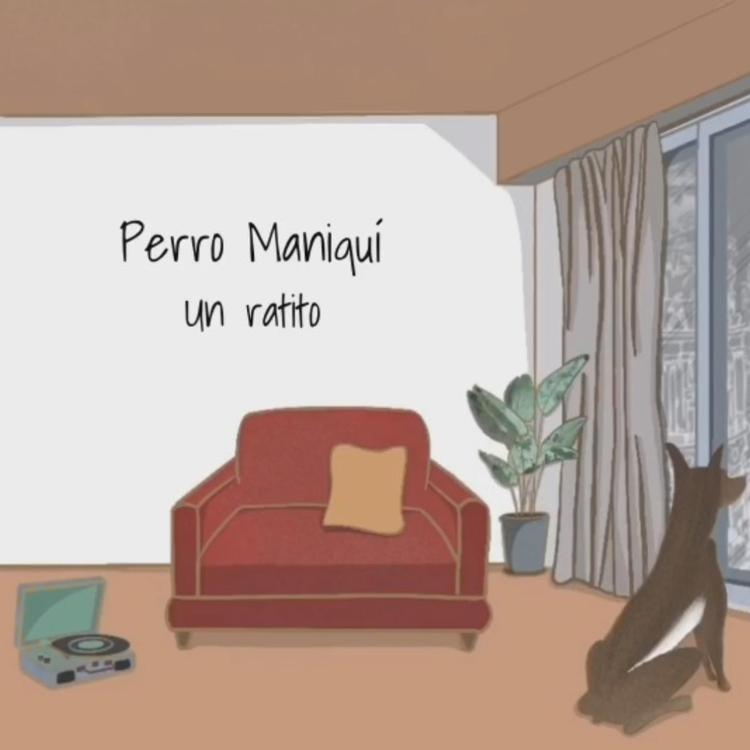 Perro Maniquí's avatar image