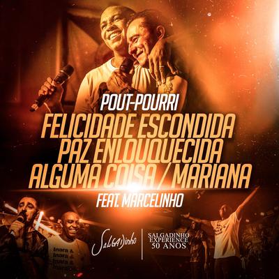 Felicidade Escondida / Paz Enlouquecida / Alguma Coisa / Mariana (feat. Marcelinho Freitas) By Salgadinho, Marcelinho Freitas's cover
