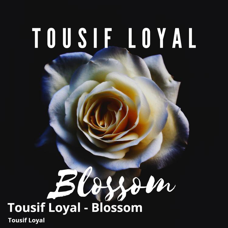 Tousif Loyal's avatar image