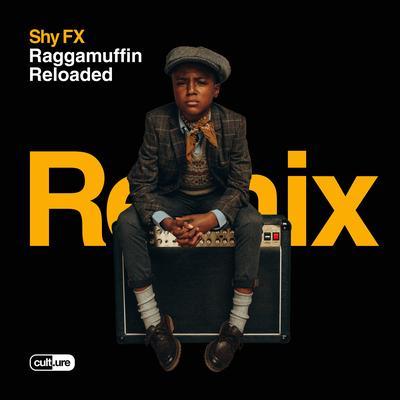 Bye Bye Bye (feat. Chronixx) [S.P.Y Remix] By SHY FX, Chronixx's cover