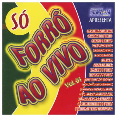 Me Manda Embora (Ao Vivo) By Forrozão Ferro na Boneca's cover