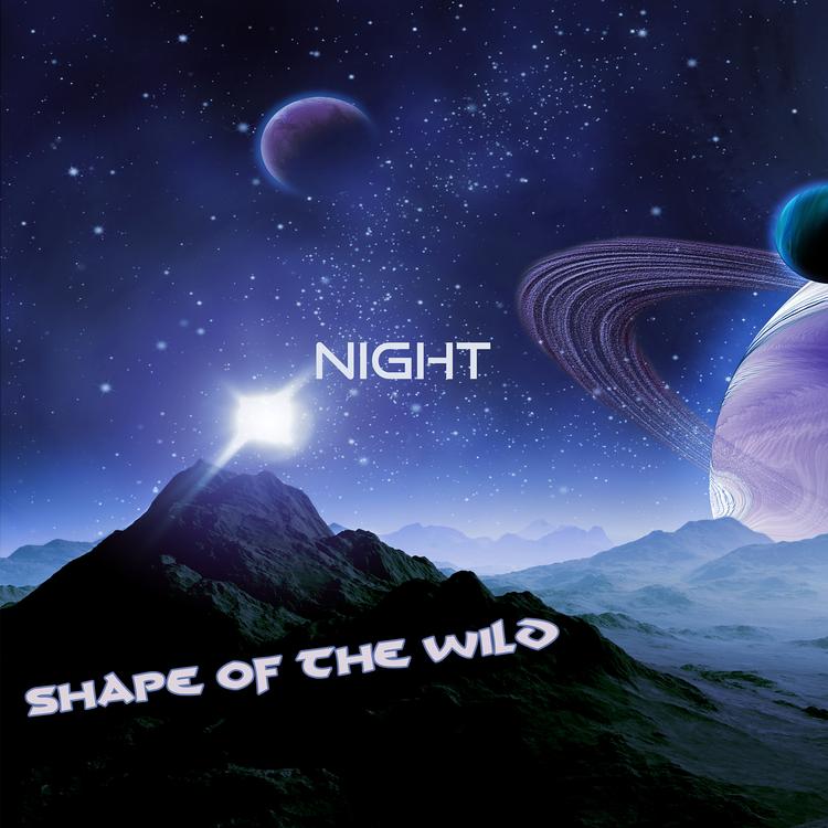 Shape Of The Wild's avatar image