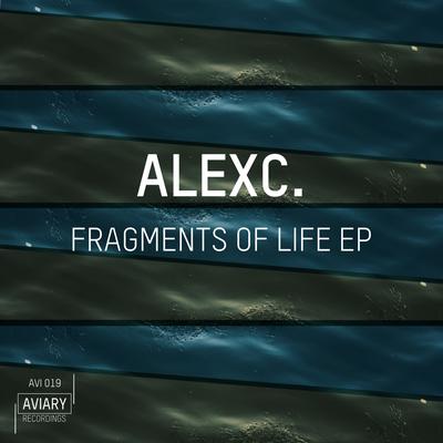 Fragments of Life By AlexC.'s cover